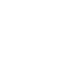 SOMA logo